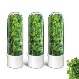 UEOZ herb keeper in fridge with transparent window keeps cilantro fresh longer.