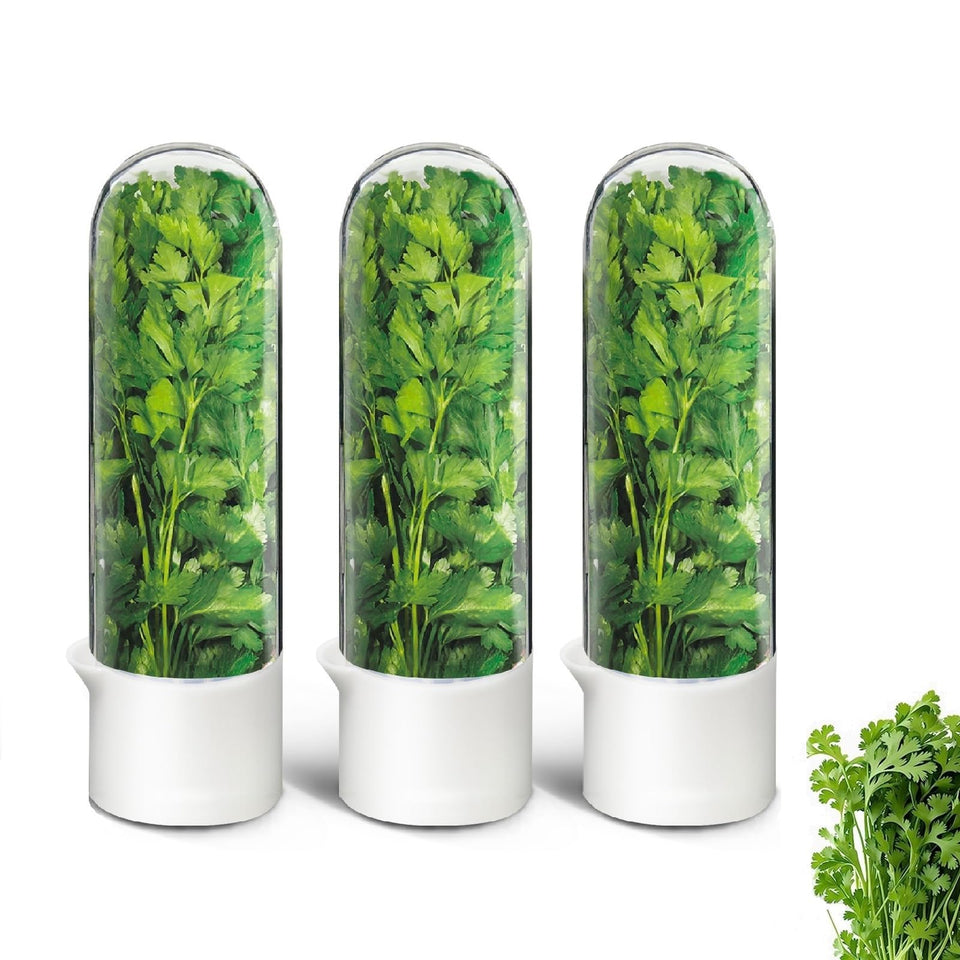 UEOZ herb keeper in fridge with transparent window keeps cilantro fresh longer.