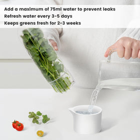 UEOZ preservation container maintains fridge humidity for crisper vegetables.