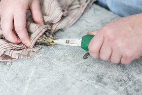 UJ Ramelson Co Murphy Green handle offers ergonomic comfort during long shucking sessions.