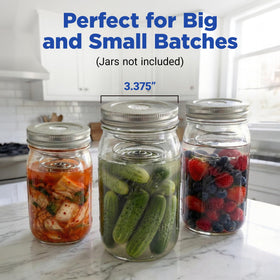 Ultimate Fermentation Kit free guide supports beginners exploring probiotic recipes.