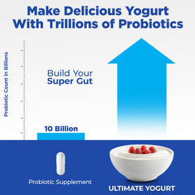 Compact kitchen counter setup featuring the Ultimate Yogurt Maker XL.