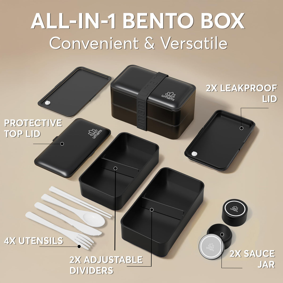 Umami Bento Box interior with dividers for customizable meal layouts.
