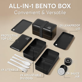 Umami Bento Box interior with dividers for customizable meal layouts.