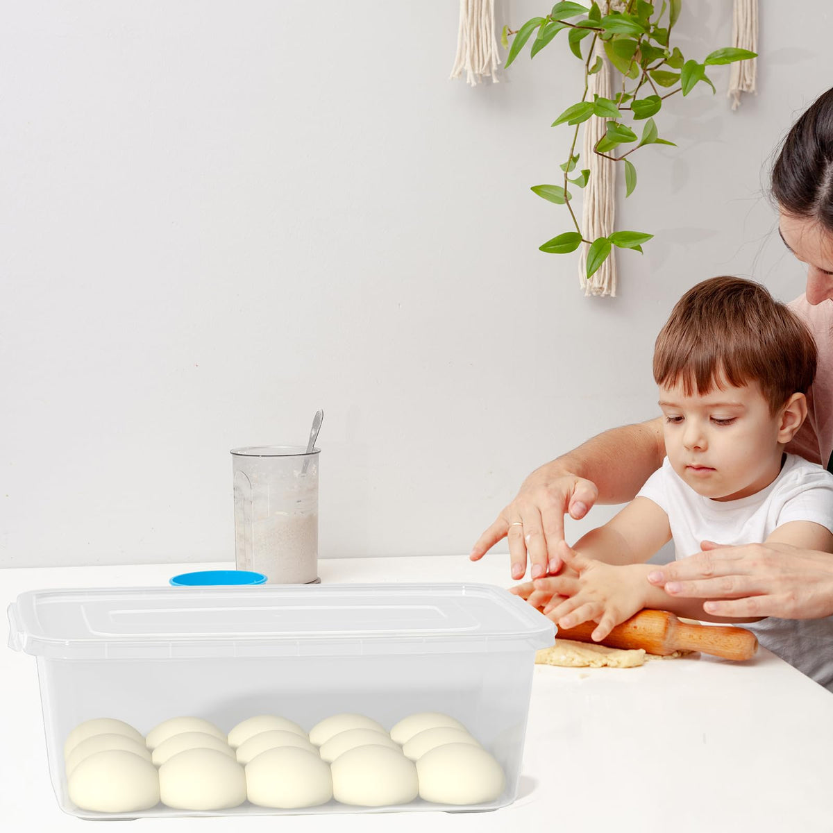Vababa 16L pizza dough proofing box fits refrigerator shelves for easy storage.