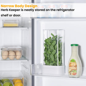 Vacane Herb Keeper side opening for easy cilantro access