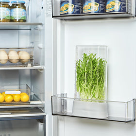 Vacane Herb Keeper stores asparagus, cilantro, mint, and rosemary neatly