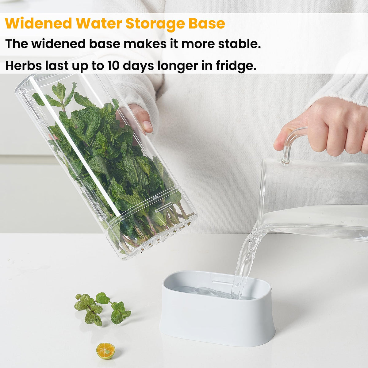 Vacane Herb Keeper water reservoir extends herb freshness