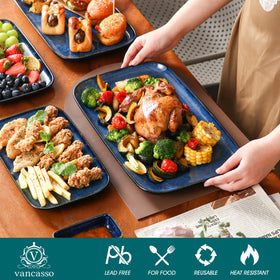 Vancasso Stern 11inch rectangle plate perfect for small bites.