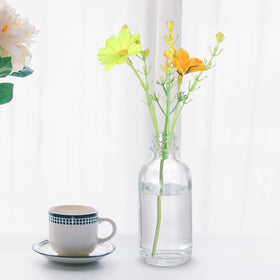  VEIDIA five plastic funnels for clean, spill-free pouring.
