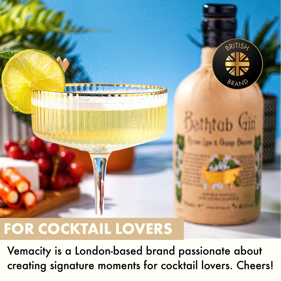 VEMACITY versatile cocktail glasses suitable for cosmos and margaritas