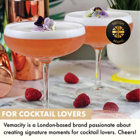 VEMACITY versatile coupe glasses for martinis, champagne, and margaritas