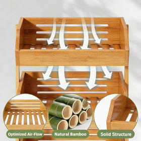 Ventilated shelves promote airflow, reducing moisture buildup around fresh fruits.