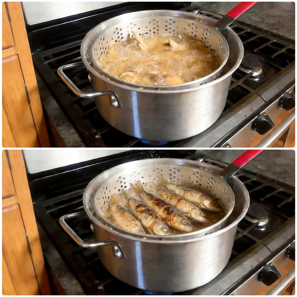 Veralune fryer kit storage case ideal for organizing components