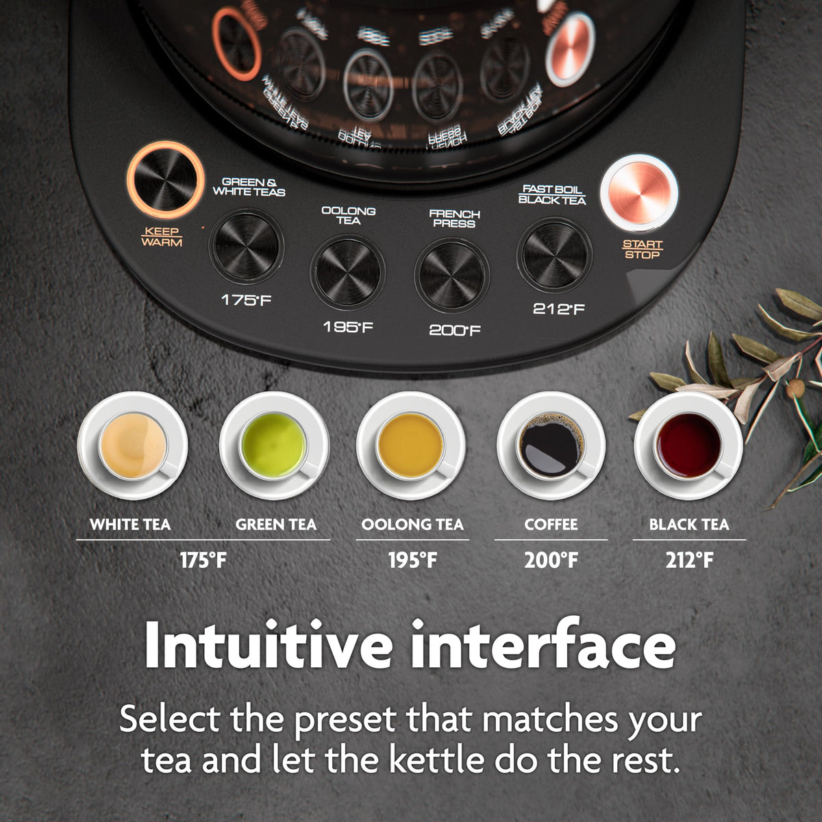 Vianté kettle control dial enables easy temperature selection for brews