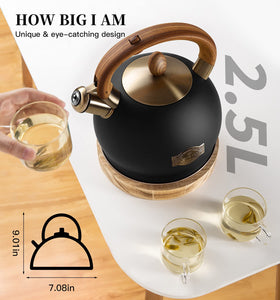 VICALINA tea kettle with cool-touch ergonomic handle for safe pouring