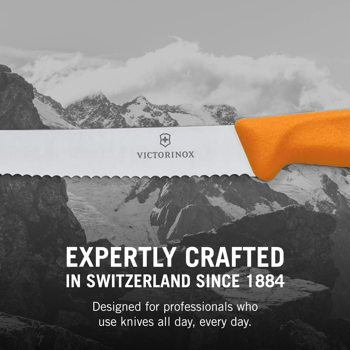Victorinox Swiss Classic paring knife slicing onion for precise dicing.