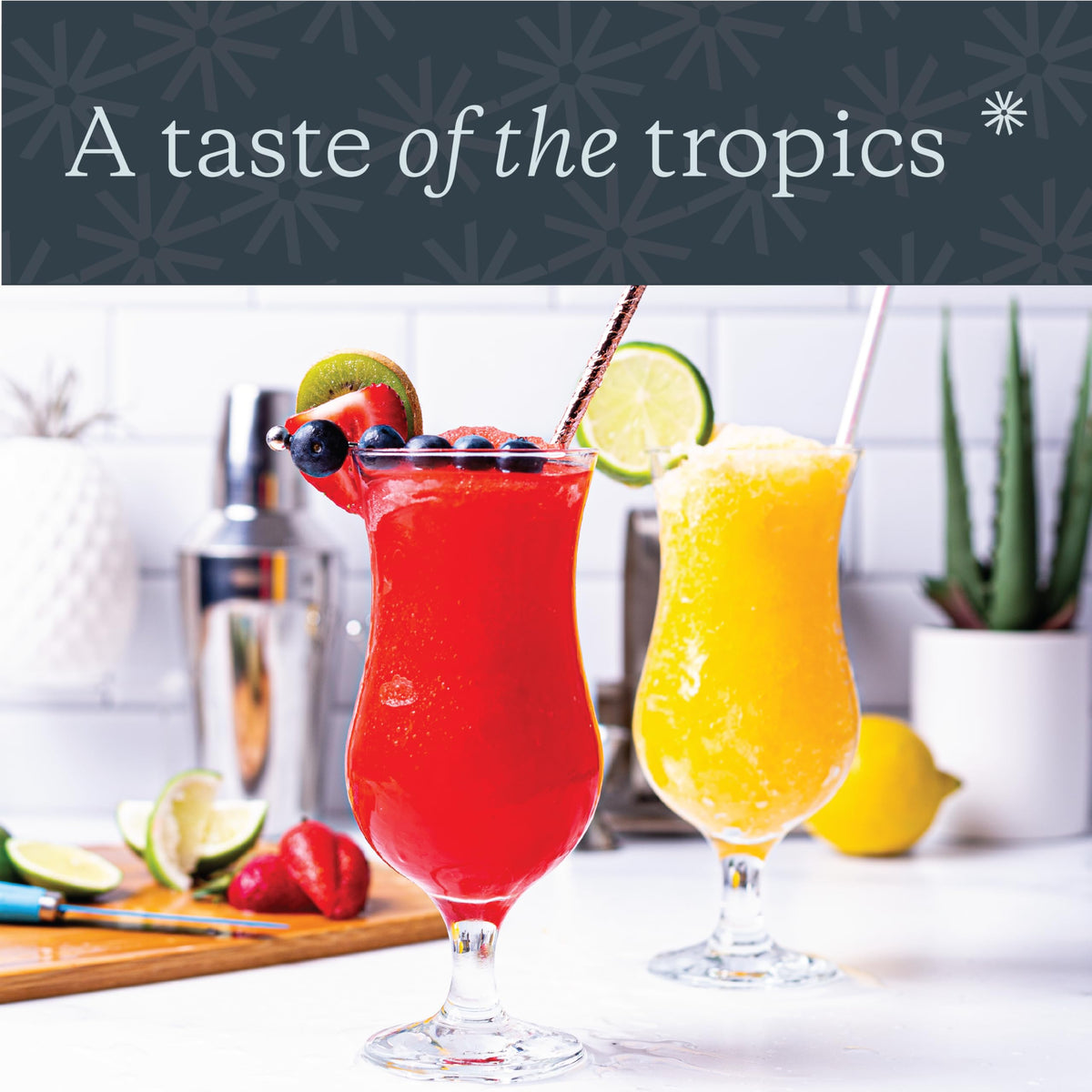 Vikko hurricane glasses dishwasher-safe design for easy cleanup