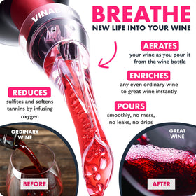 VINABON pourer attached to bottle for corked wine fit