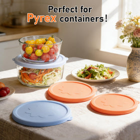 Viotiin tight-fit Pyrex lid sealing a bowl securely