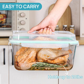 Vtopmart festival-sized container ideal for roasting and party leftovers.