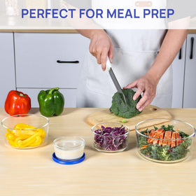 Vtopmart 1-cup glass bowl with lid for sauces and small portions.