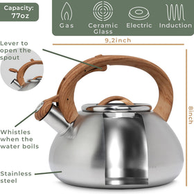 WALDWERK tea kettle stainless steel design for daily use.