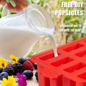Waybesty 12-cavity popsicle mold ready for dishwasher cleaning