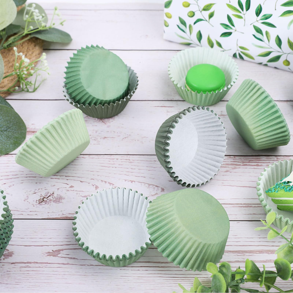 Whaline sage green baking cups ideal for uniform treats.