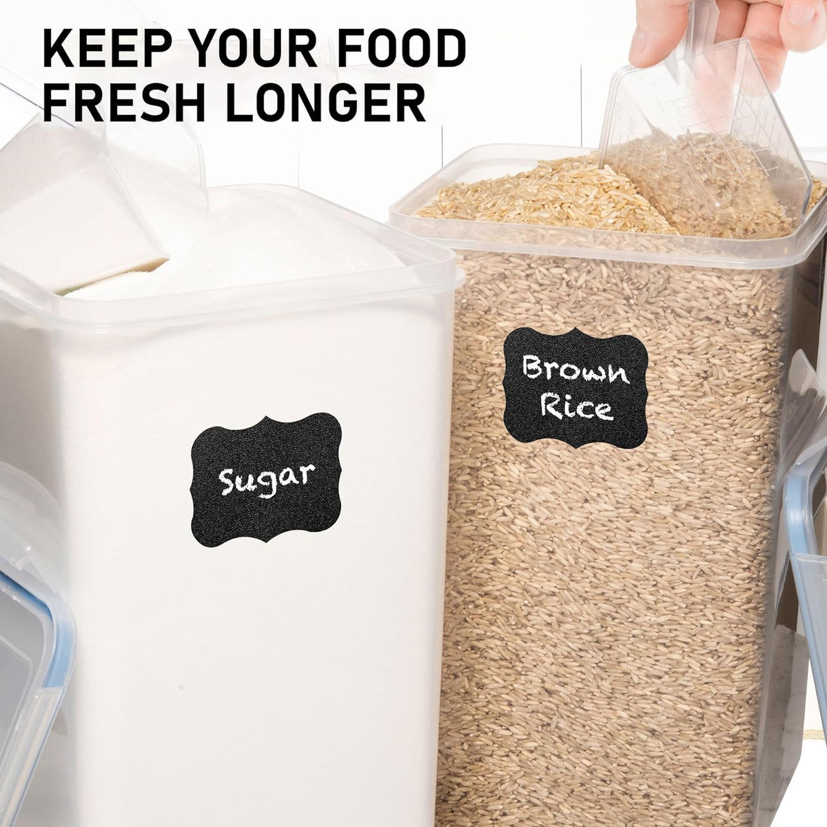 White Feather Supplies dishwasher-safe container simplifies cleanup