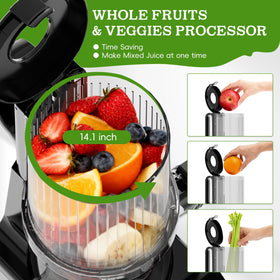Whuto juicer showcasing durable stainless steel body