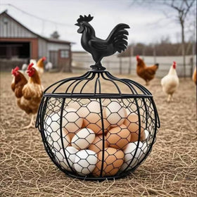 WHXZNJGN versatile storage for eggs, fruits, or candies.