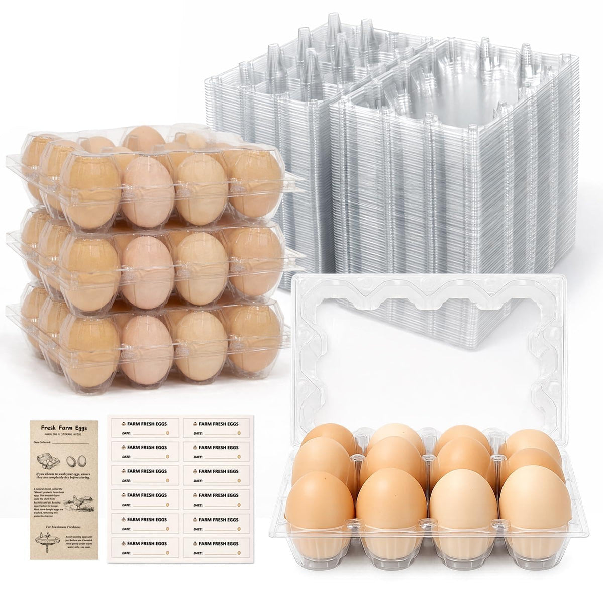 WIKDAY 60-pack clear egg cartons for easy visibility and organization.