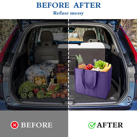 WISELIFE bag highlights eco-friendly reusable shopping alternative