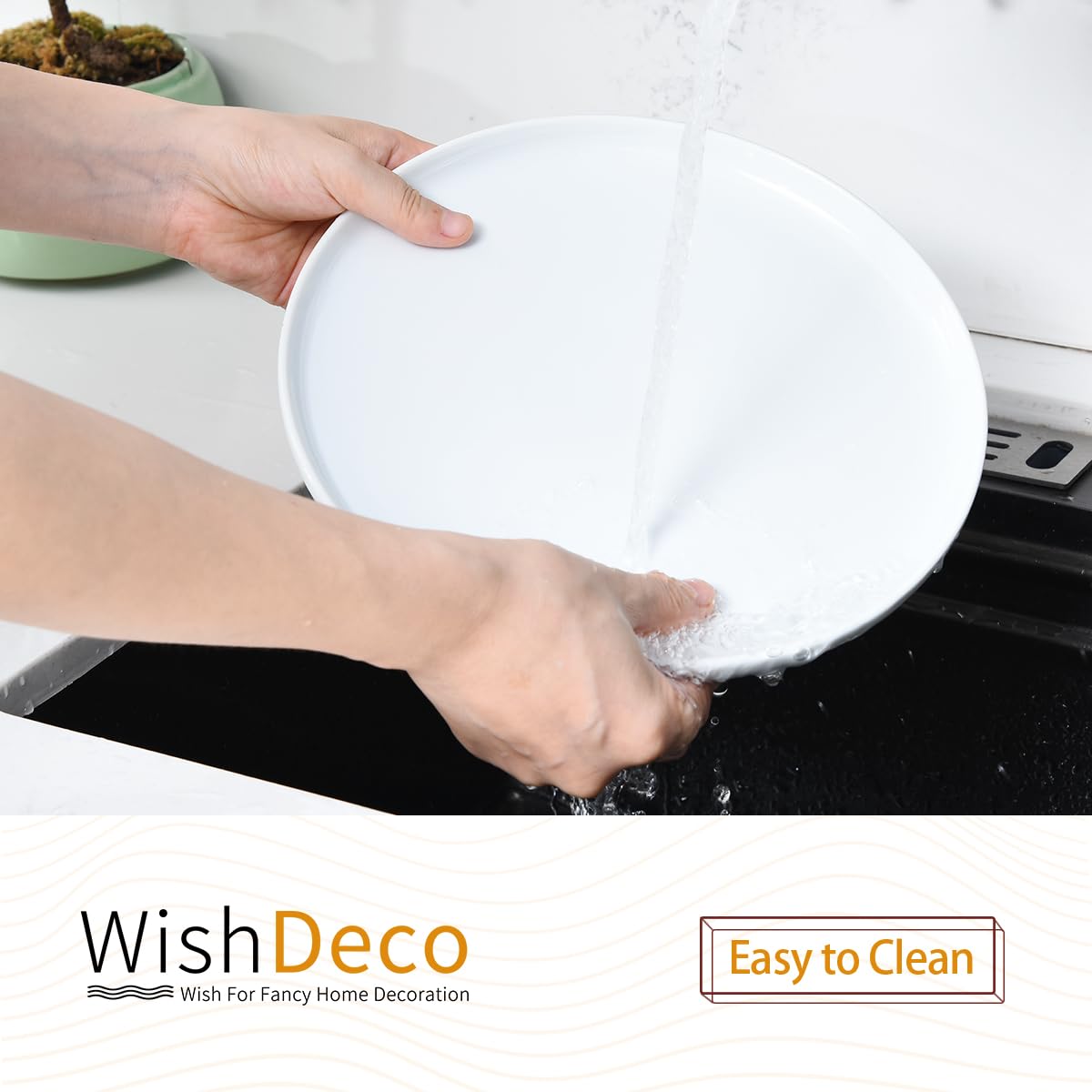 WishDeco large 10.5-inch plate fits mains and pasta servings.