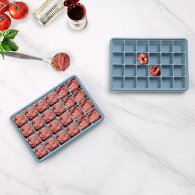 witice freezer mold with ginger portions for precise freezing and easy use