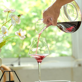 Wlasss gift-ready decanter signals a thoughtful wine-loving present