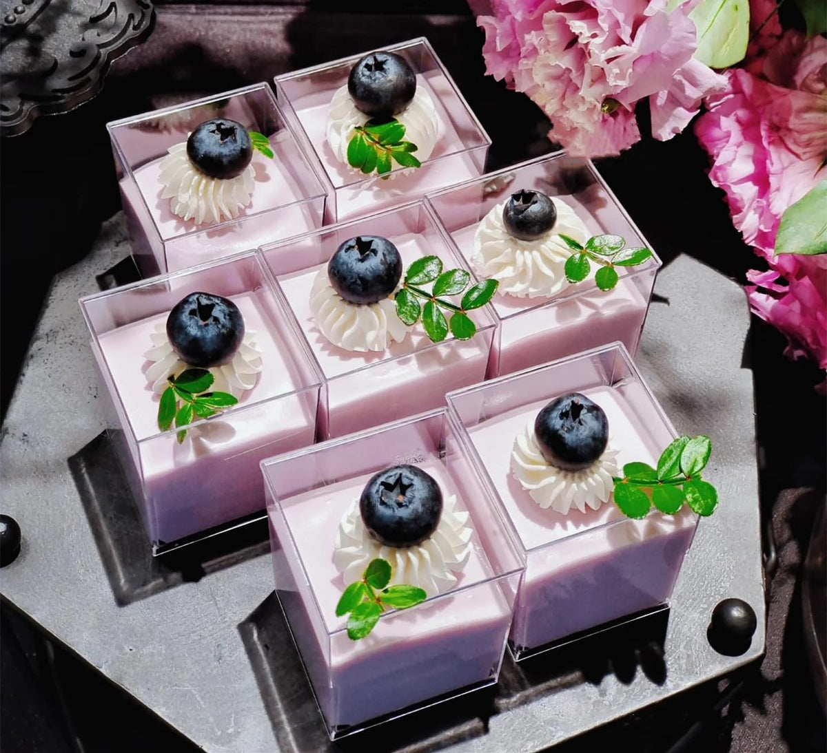Wnqou square cups, transparent side-angle view ready for layered desserts