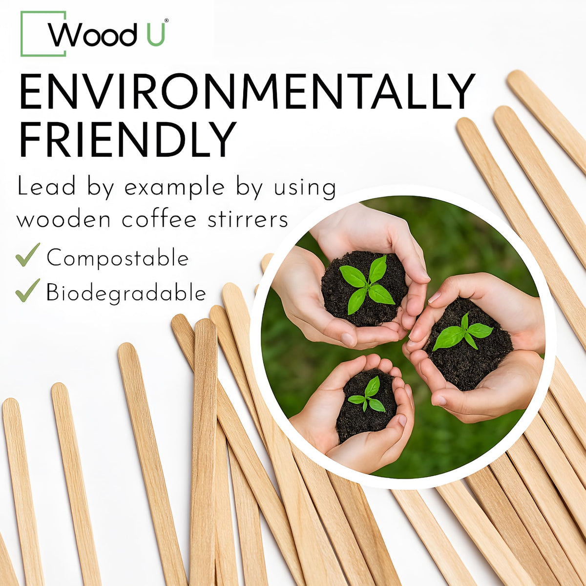 WoodU biodegradable disposable stirrers reduce waste while maintaining style.