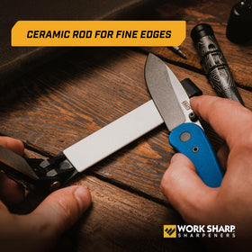 Work Sharp 400-grit diamond plate for initial edge removal and edge setup.