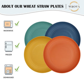Durable Wrova plate resists drops, ideal for daily use.