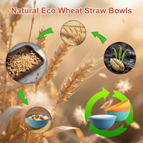 Wrova wheat straw bowls showcased for versatile meal prep