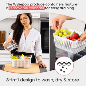 Wyliepop clear fridge container highlights produce visibility and freshness.