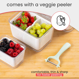 Wyliepop lettuce keeper in a clear container maintaining greens crispness.