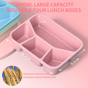 XGXN Bento Box 4 compartments keeps meals organized for balanced lunches.