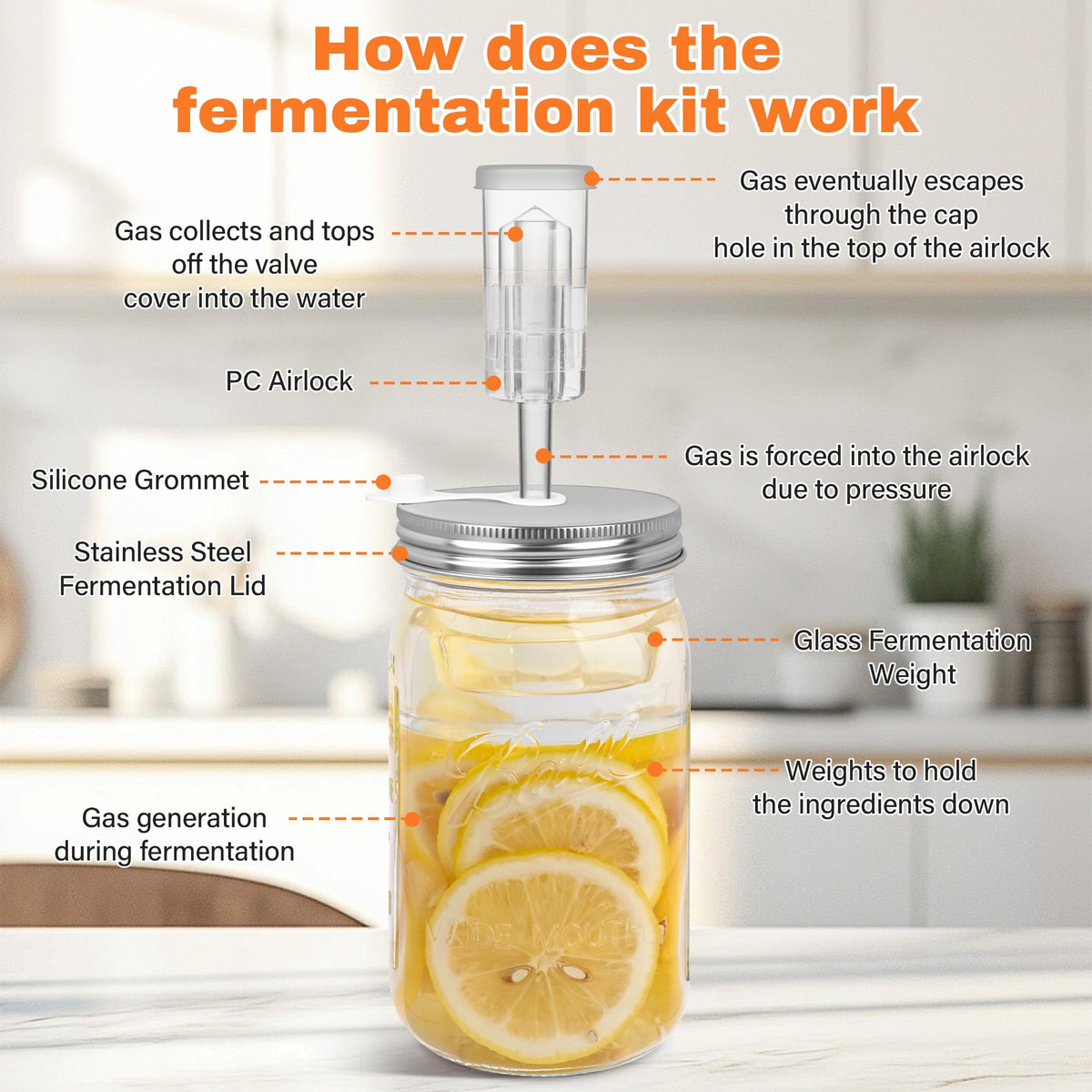Xileanalee gift-pack fermentation kit presented as a thoughtful foodie gift