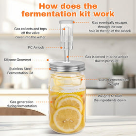 Xileanalee gift-pack fermentation kit presented as a thoughtful foodie gift