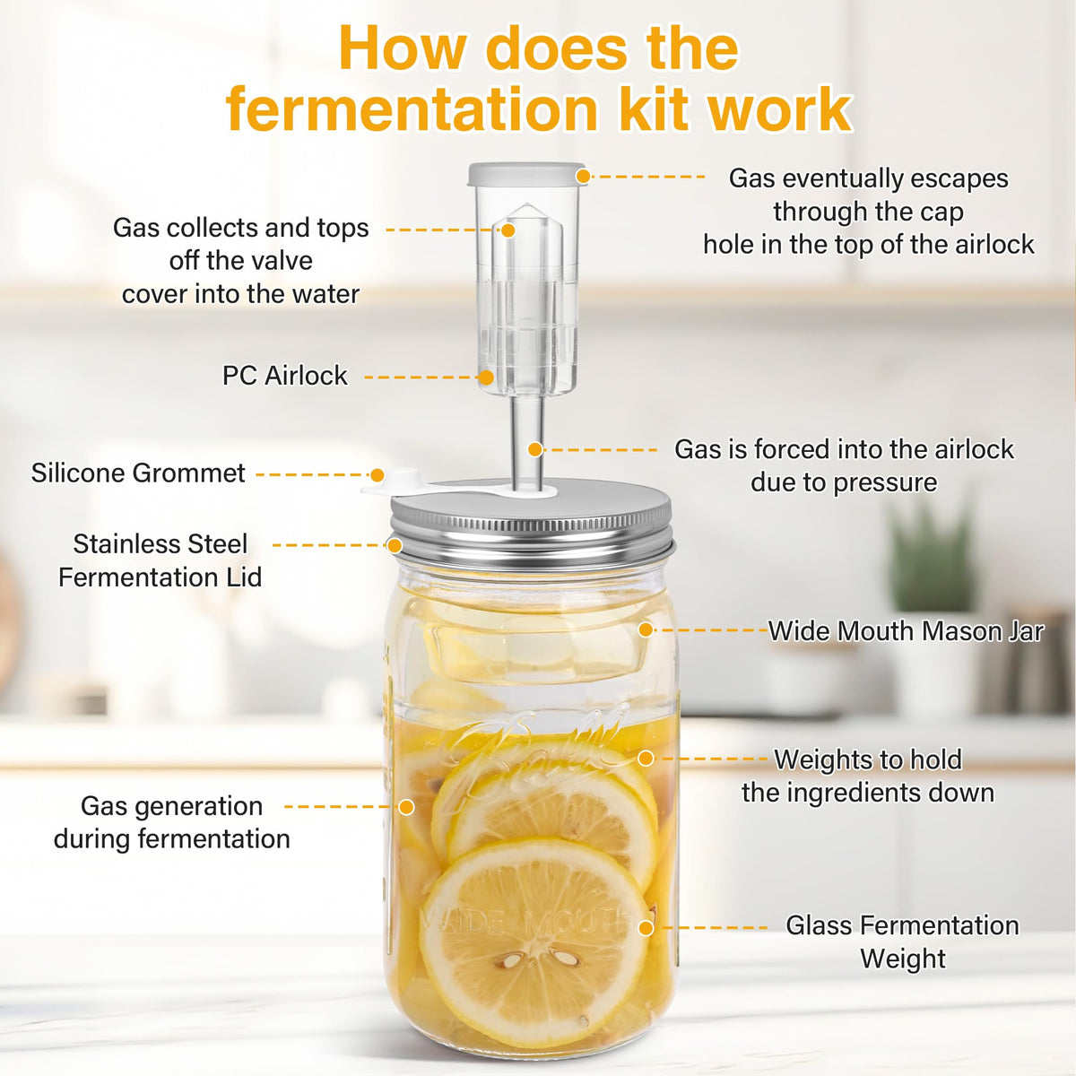 Xileanalee kit for kimchi, sauerkraut, and pickles inspires homemade ferments.
