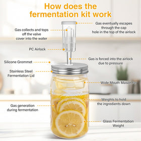 Xileanalee kit for kimchi, sauerkraut, and pickles inspires homemade ferments.