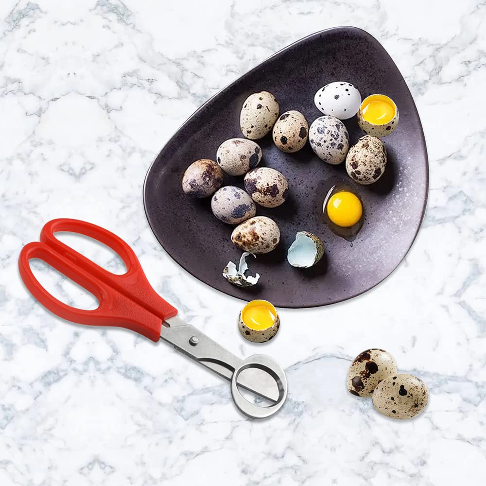 XINMEIWEN stainless steel blades on quail egg cutter stay sharp